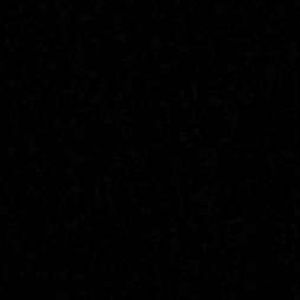 Meet your Posher, Shaun